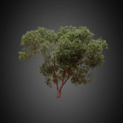 001 — скачать