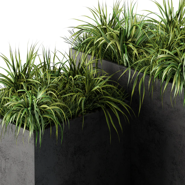 Outdoor Concrete Plant Box with Cereals and Green Grass — Скачать