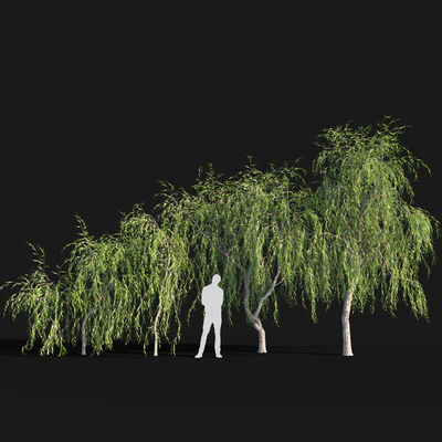 Willow # 4 (2.6 m - 5.7 m) — descargar