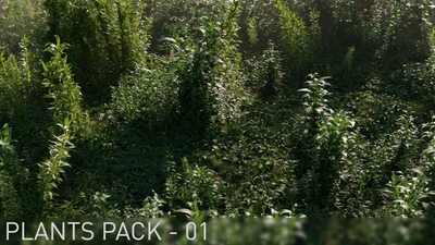 plants pack 001 — download
