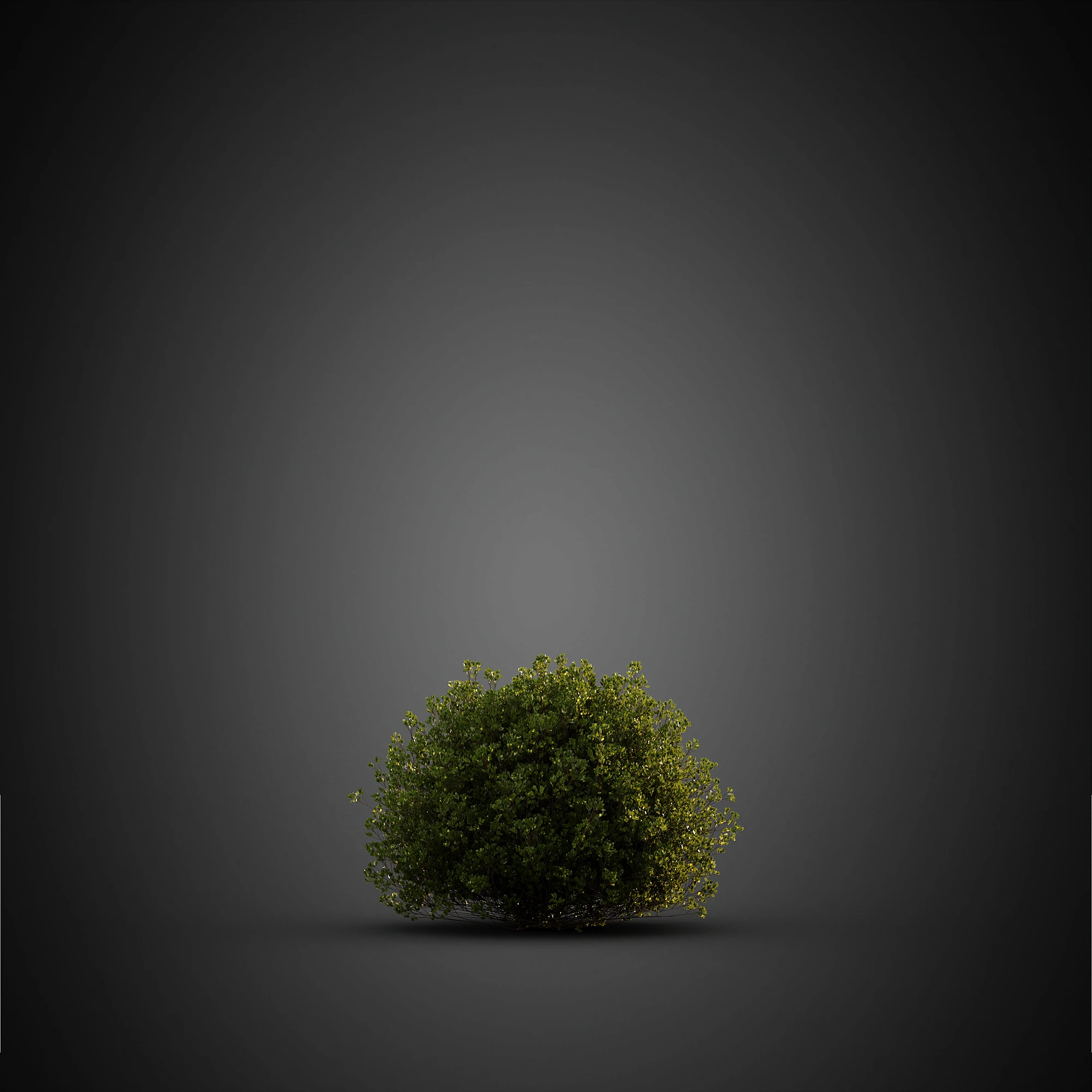 016 — Скачать