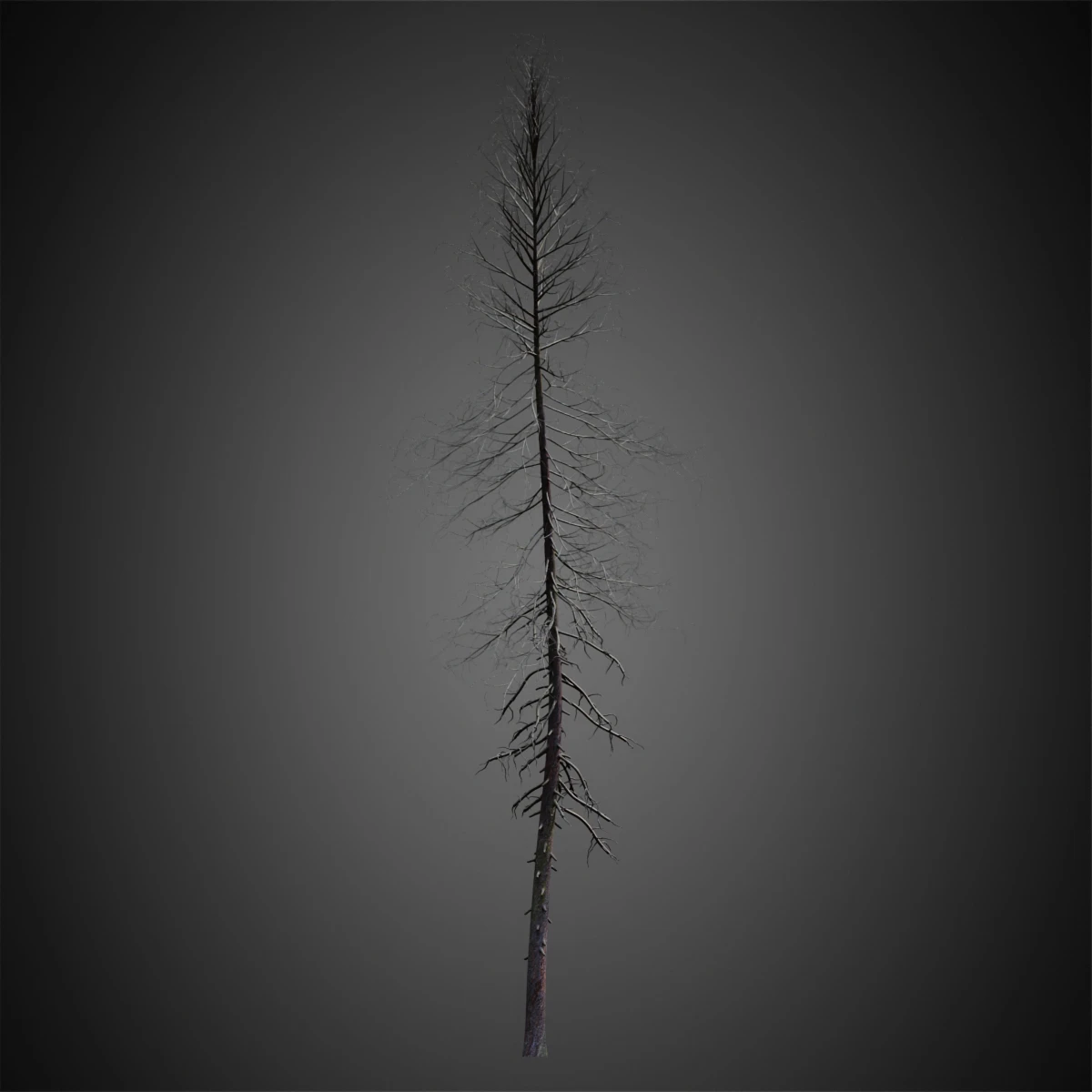 009 — Скачать