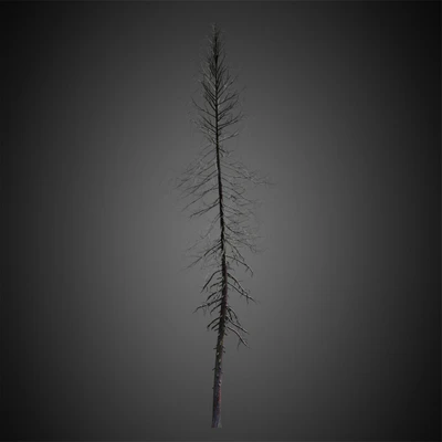 009 — скачать