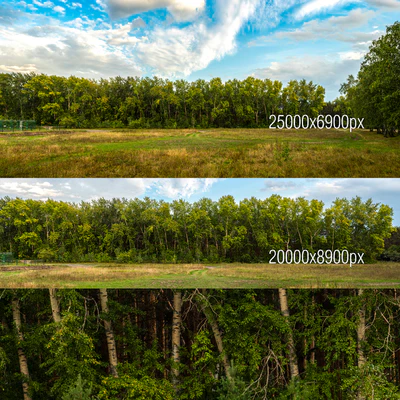 Poplar panoramas — download