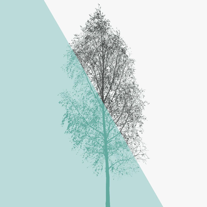 motionmask 001 — Download