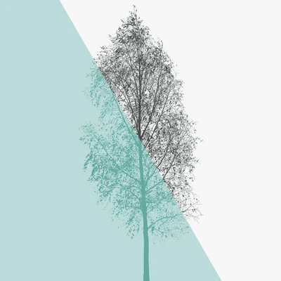 motionmask 001 — download