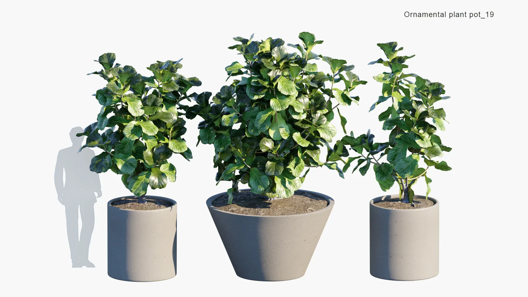 019 — Скачать