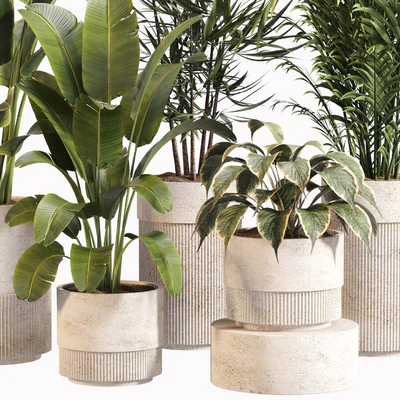 Indoor Plant Set 031 — Вид 5
