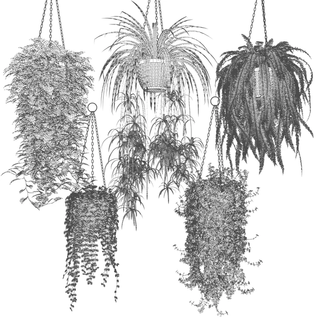 Ampel plants in white wicker pots — Descargar