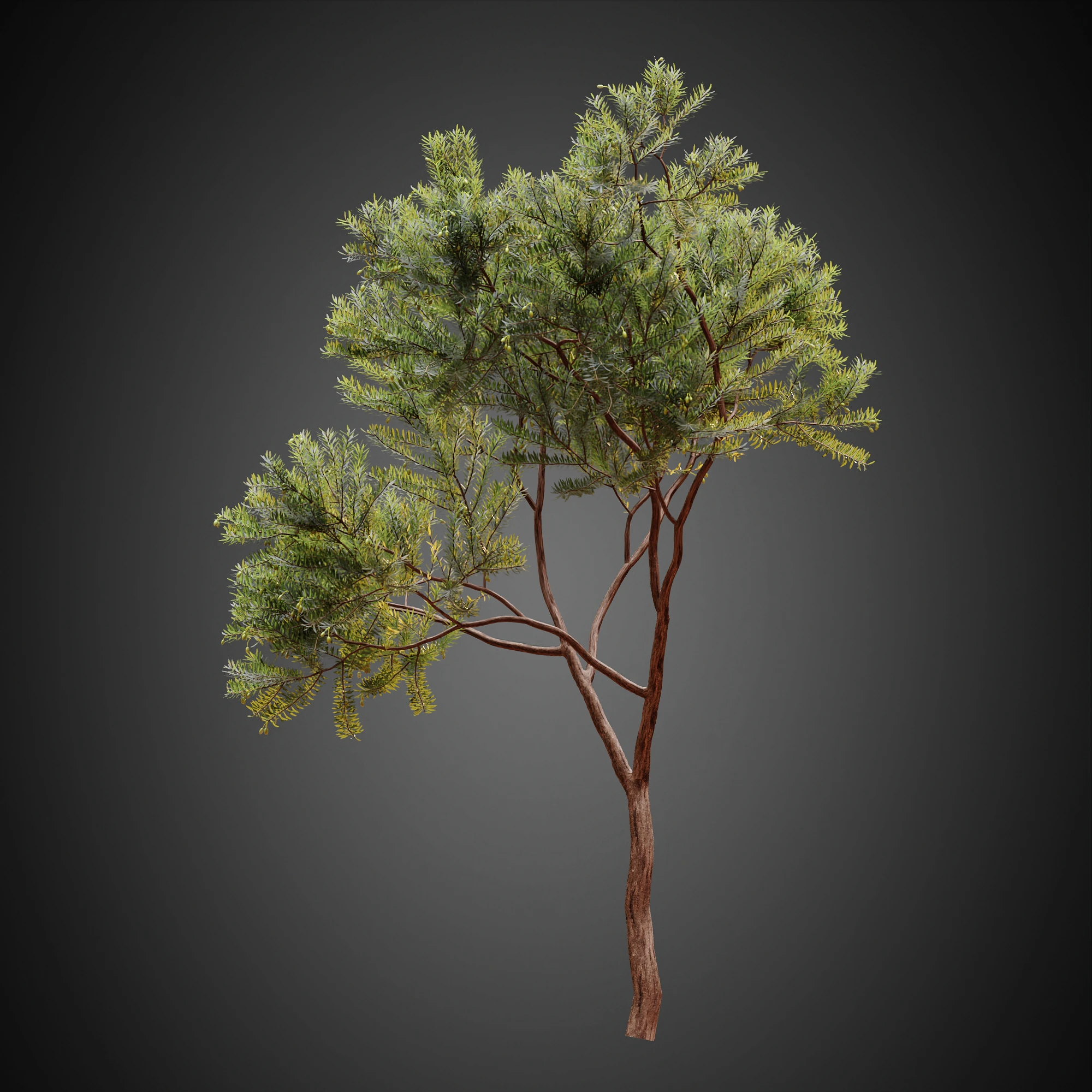 005 — Скачать