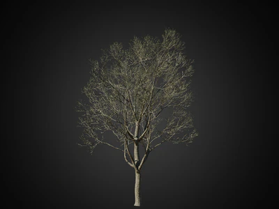 012 — скачать