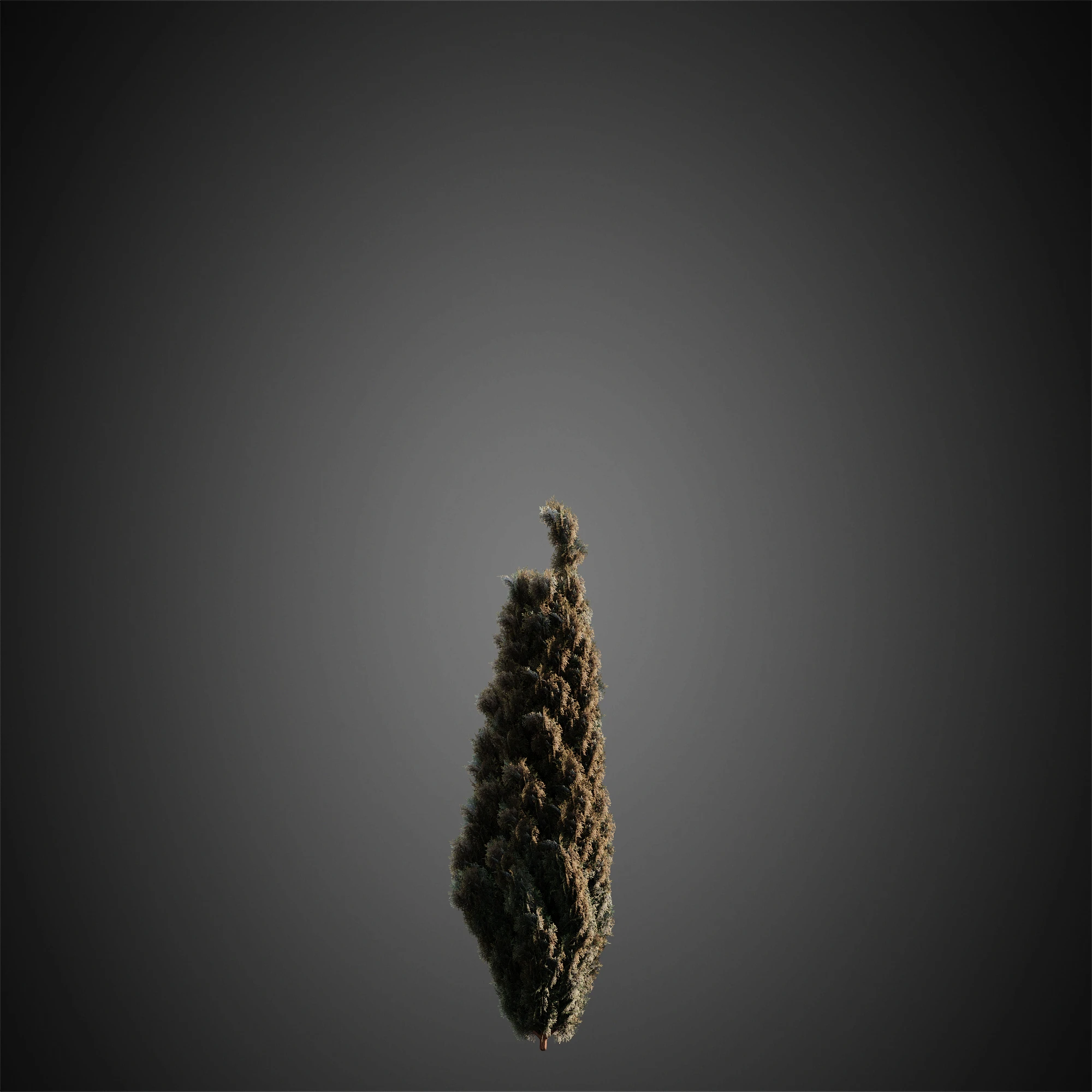 010 — Скачать