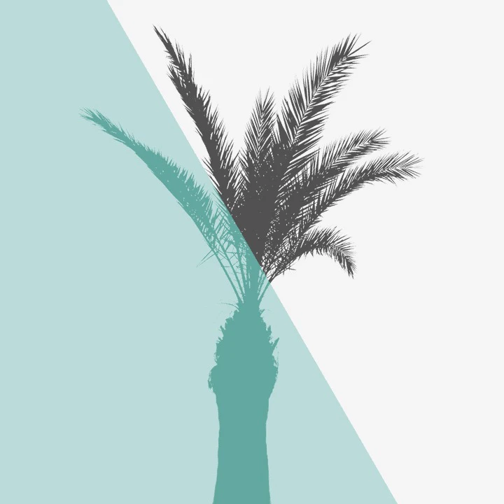 motionmask 002 — Download