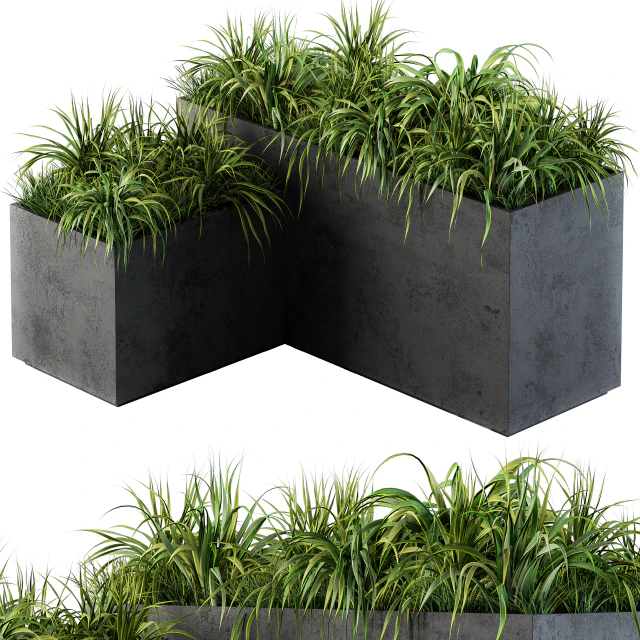Outdoor Concrete Plant Box with Cereals and Green Grass — Скачать