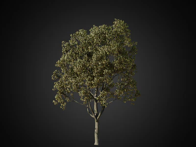 009 — скачать