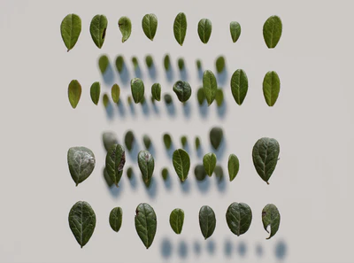 vaccinium vitis-idaea — download