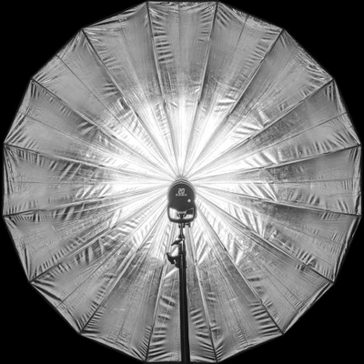 rls023 profoto umbrella deep xl silver — download