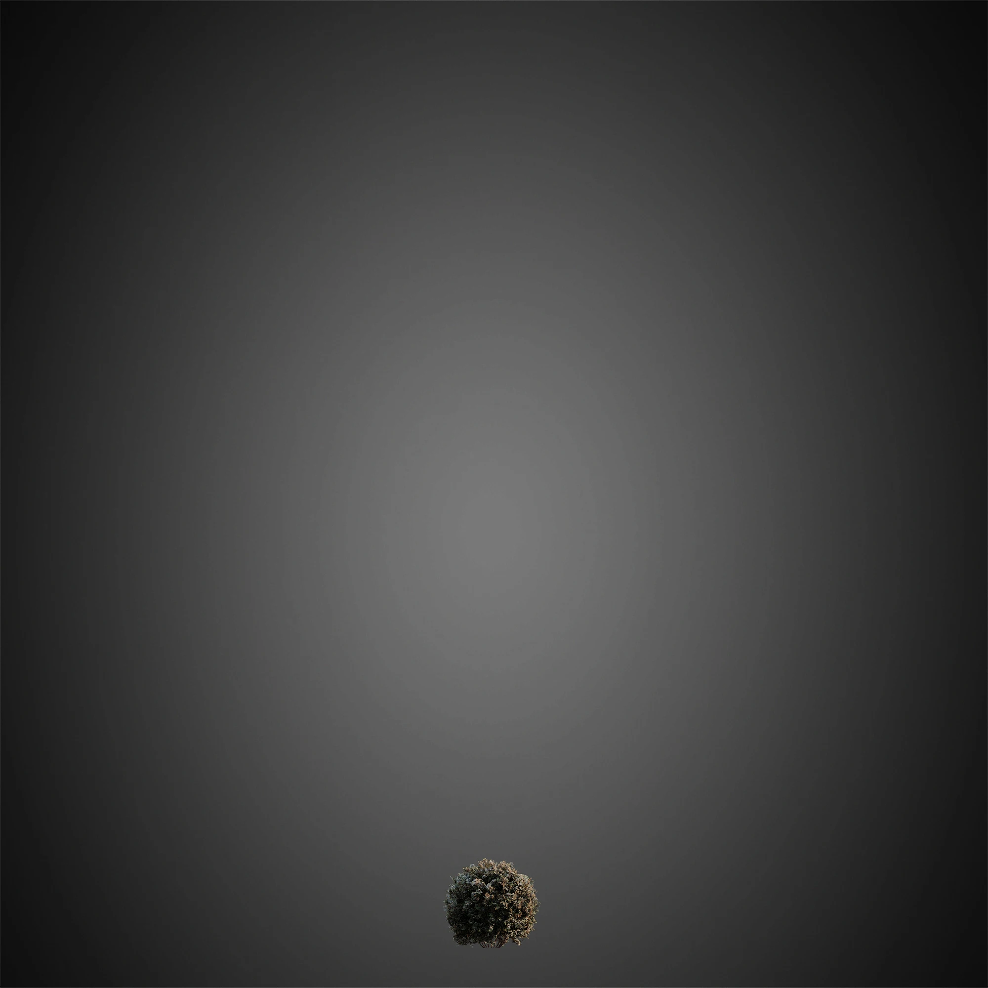 040 — Скачать