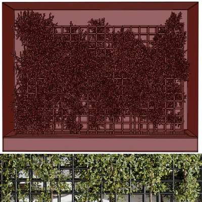 Plants Set Partition In Behind Glass - Ivy Garden Wall Decor Set 116 — Ver 4