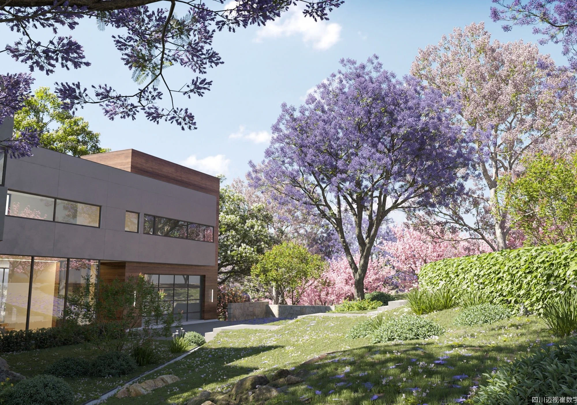 plant models vol 107 — Скачать