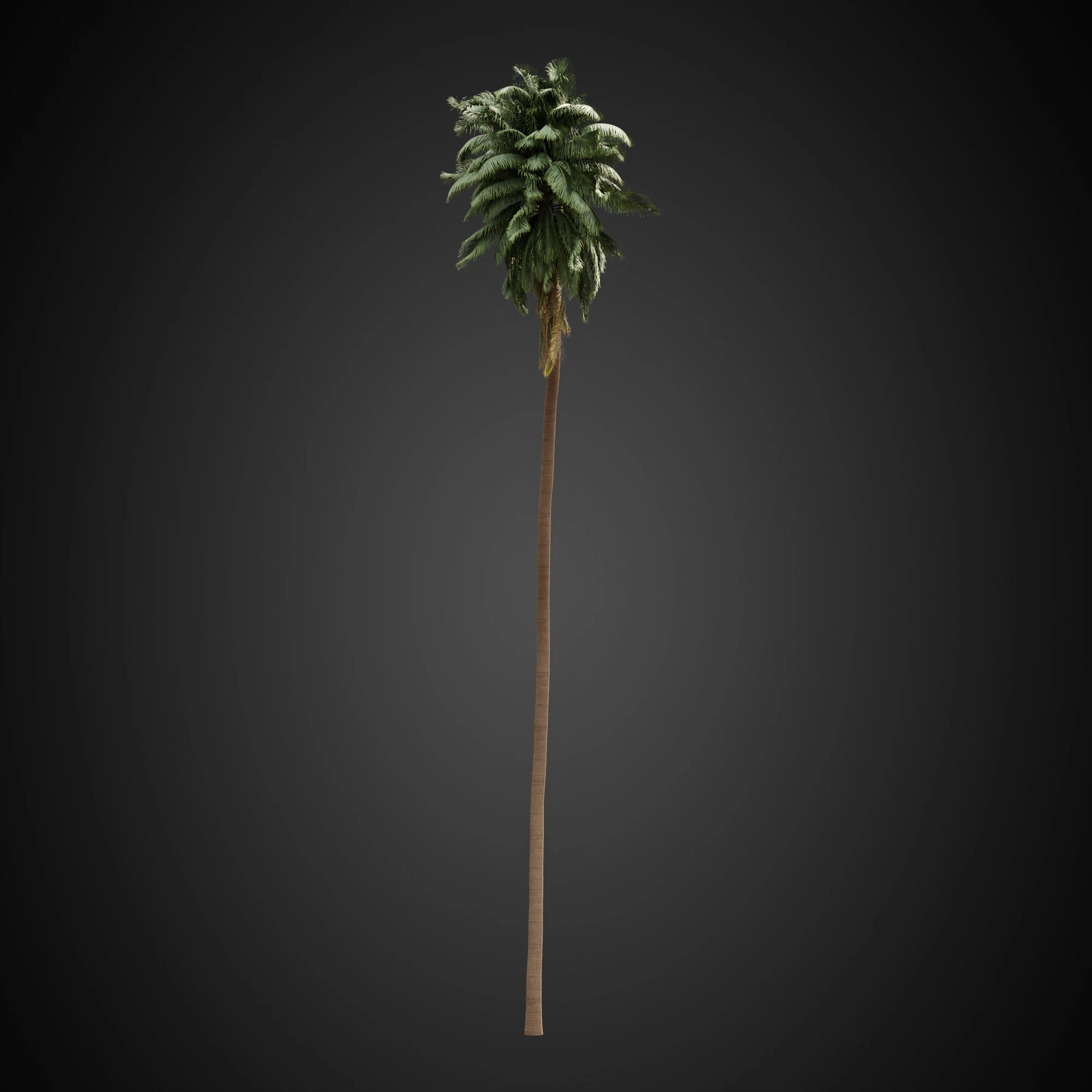 010 — Скачать