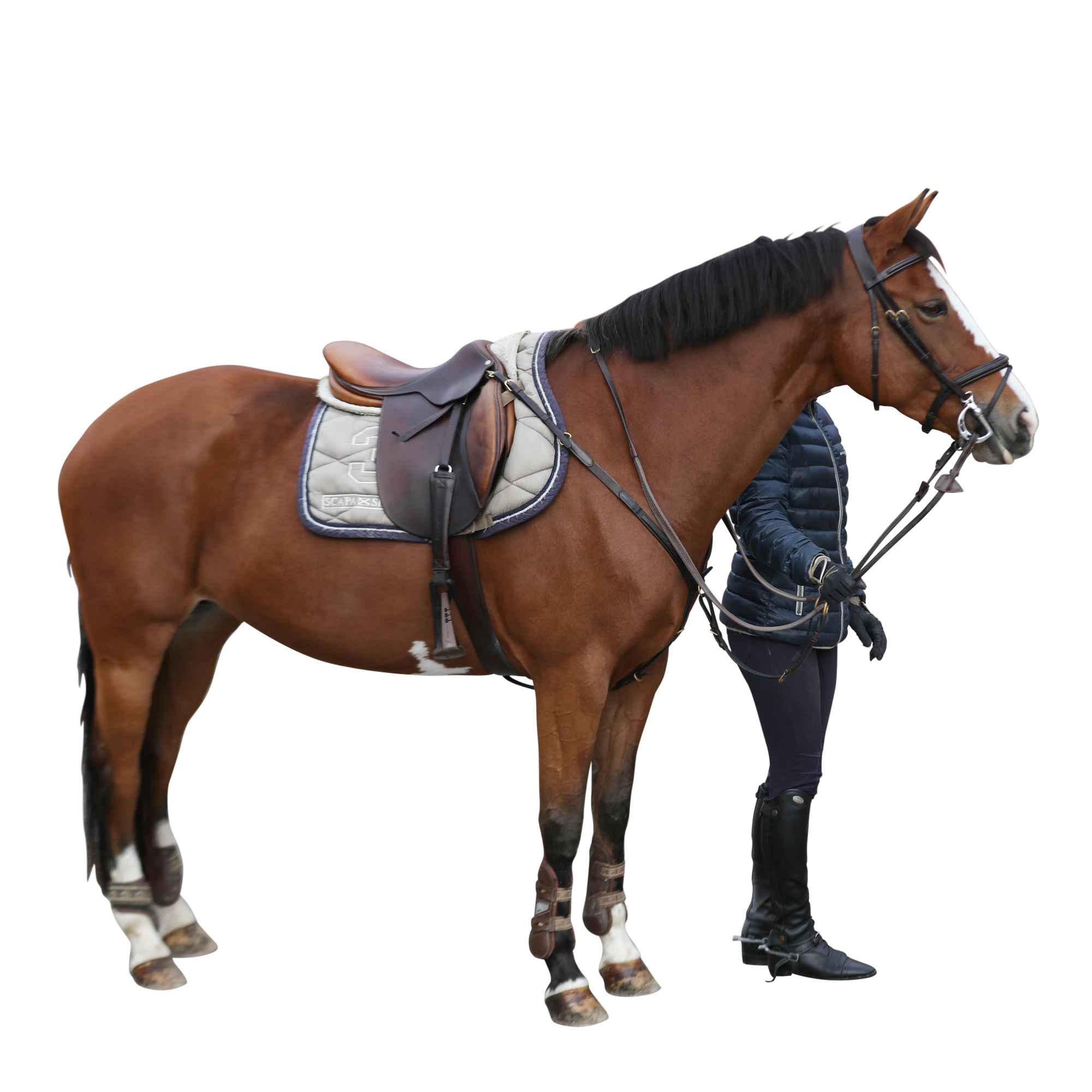 026 — Скачать