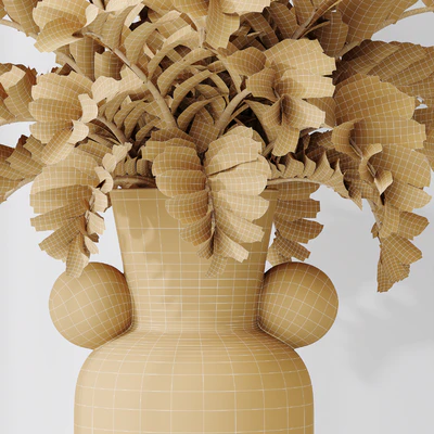 Zamioculcas Zamiifolia Araceae — Вид 4