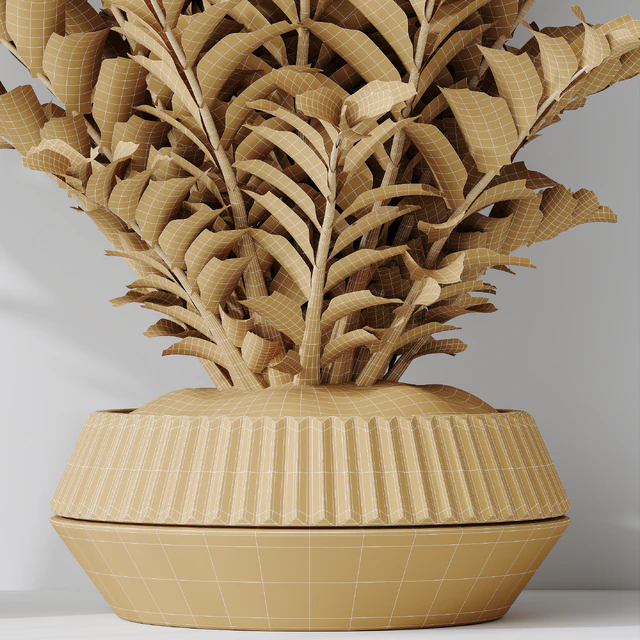 Zamioculcas Zamiifolia Araceae — Скачать