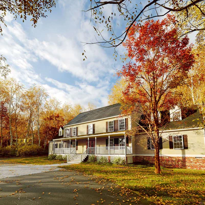 plant models vol 146 — download