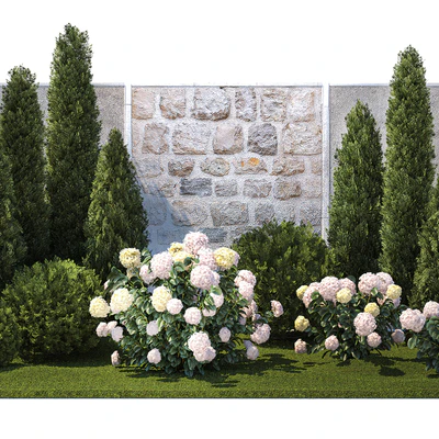 Collection of plants garden with bushes and trees for landscape design with thuja, cypress, flowering Hydrangea white. Set 1378. — Ver 7