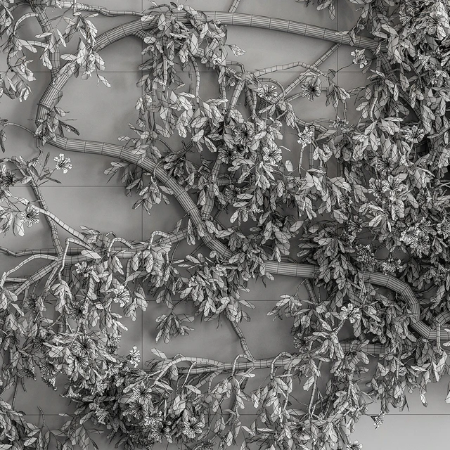 Outdoor Plant Set 426- Ivy on Wall — Descargar