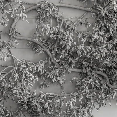 Outdoor Plant Set 426- Ivy on Wall — Ver 5