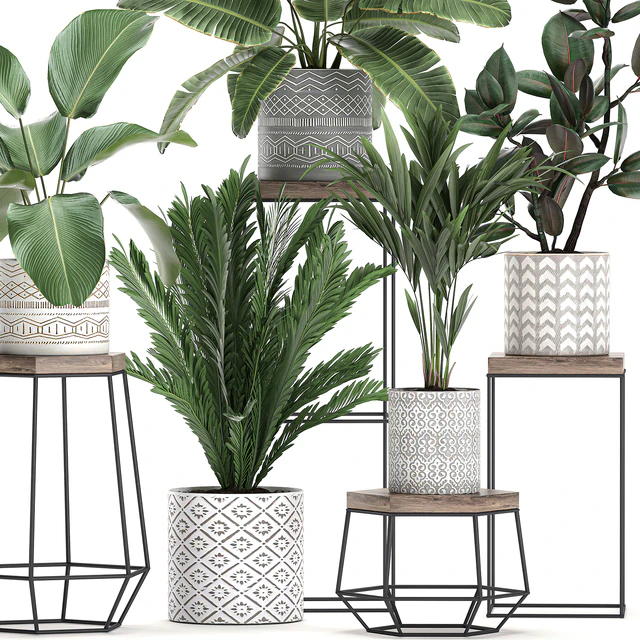 Коллекция маленьких растений на цветочной подставке в горшках с Пальма, фикус, стрелиция, полка с цветами. Набор 702 — Скачать