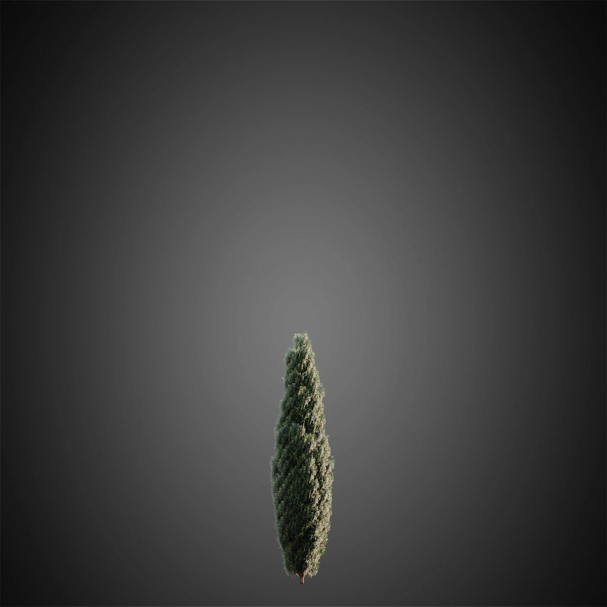 017 — Скачать