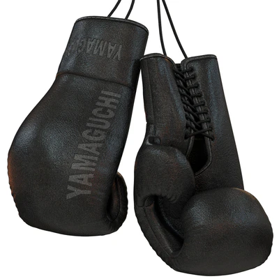 Yamaguchi Smart Wall Multifunctional Wall Trainer — Ver 3