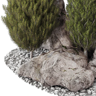 backyard and landscape pine tree garden and rocks 269 — Вид 5