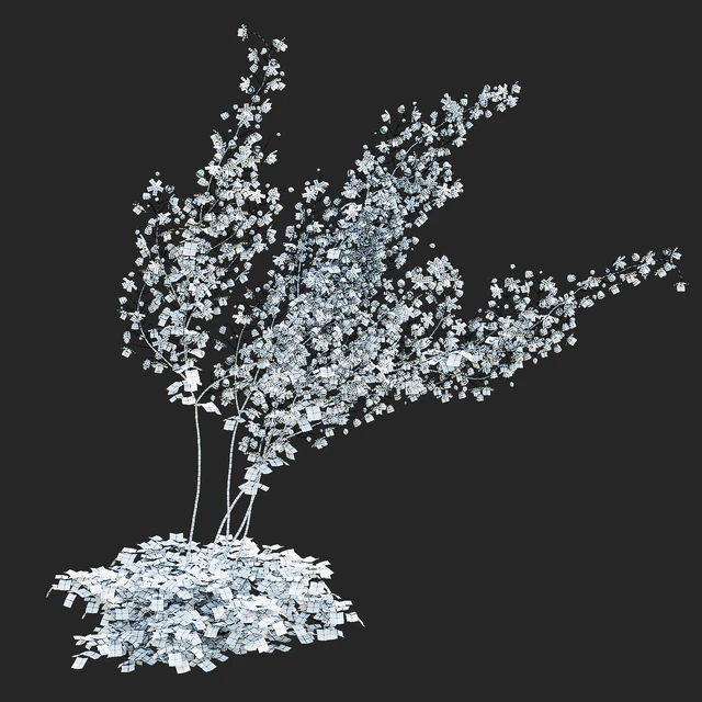 Василистник Делавея цветы | Thalictrum delavayi Purple — Скачать