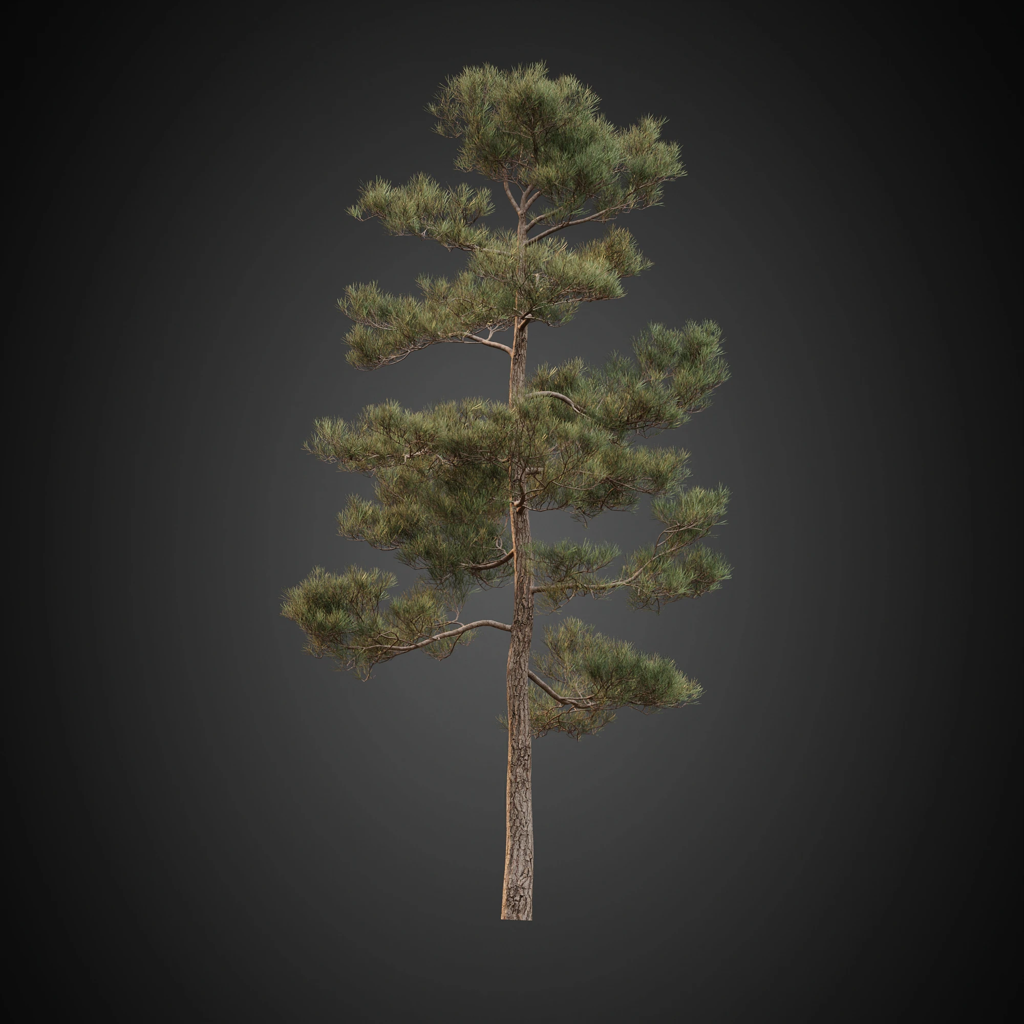 003 — Скачать