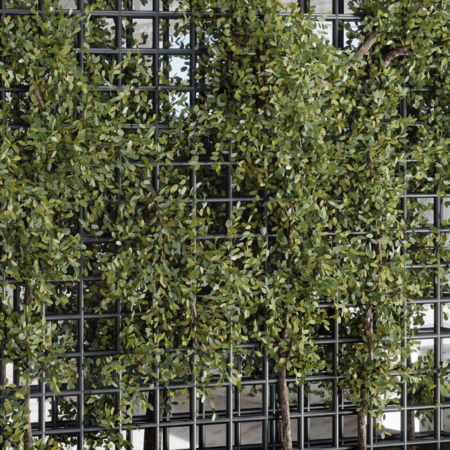 Plants Set Partition In Behind Glass - Ivy Garden Wall Decor Set 116 — Descargar