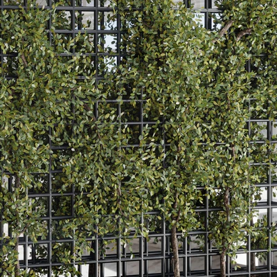 Plants Set Partition In Behind Glass - Ivy Garden Wall Decor Set 116 — Ver 5