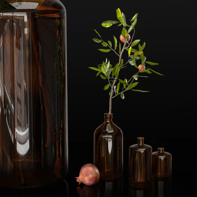 Pomegranate branches in pharmacy bottles — Ver 4