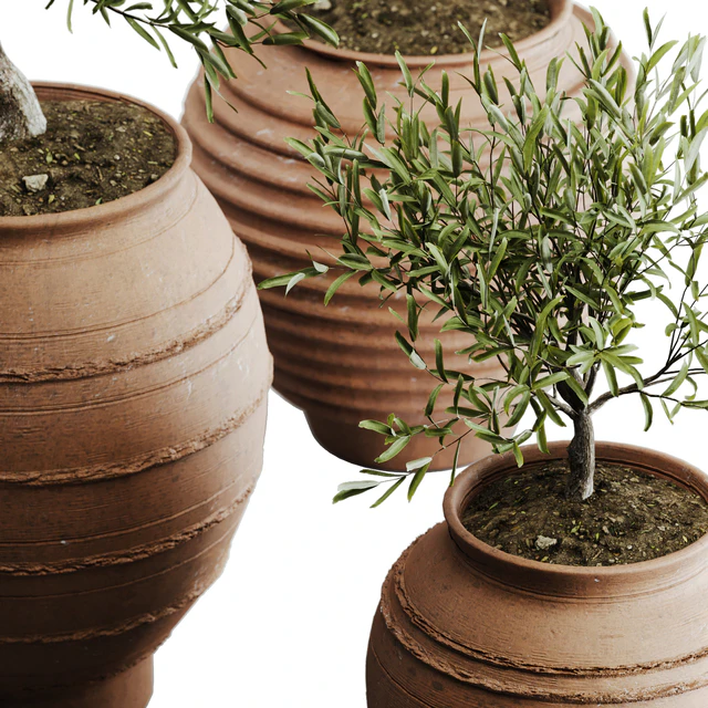 outdoor plant set 06 — Descargar