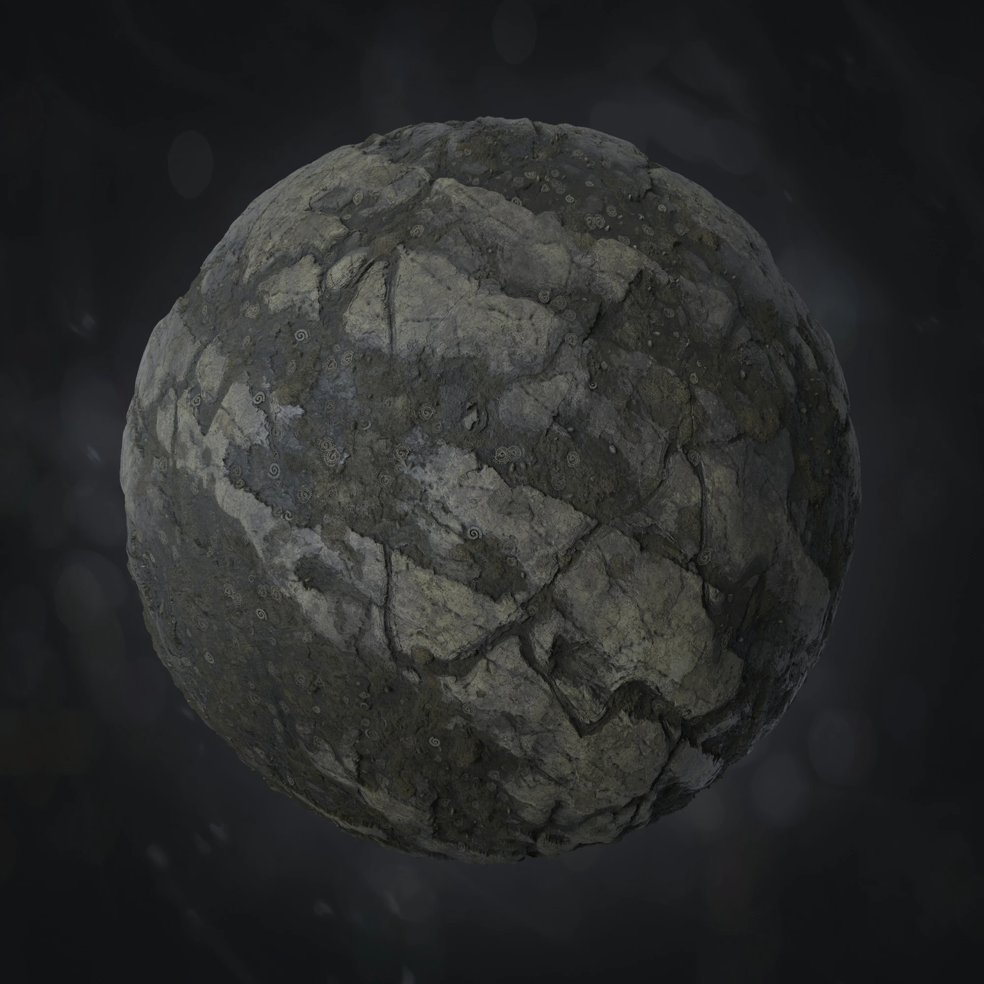 fossils 033 — Скачать