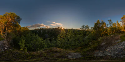 roros cliff 2015 — download