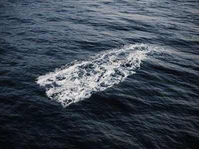 foam 002 — descargar