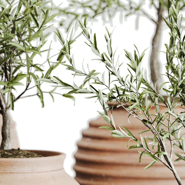 outdoor plant set 06 — Descargar