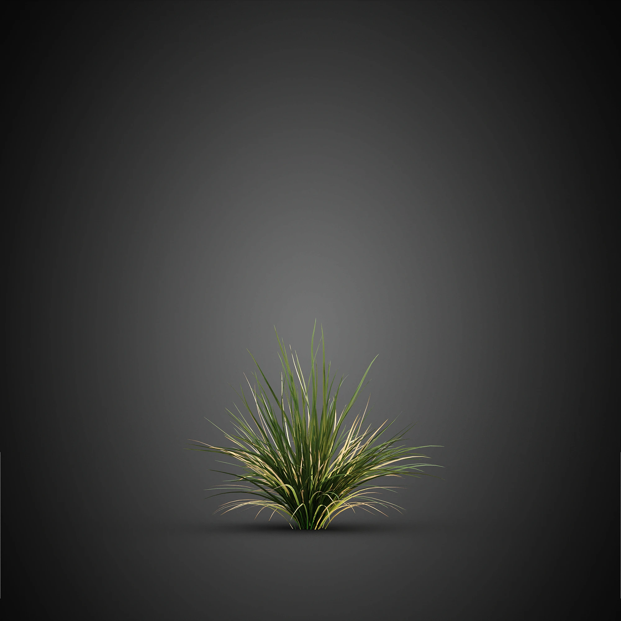 006 — Скачать