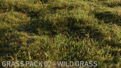 grass pack 002 wild grass — download