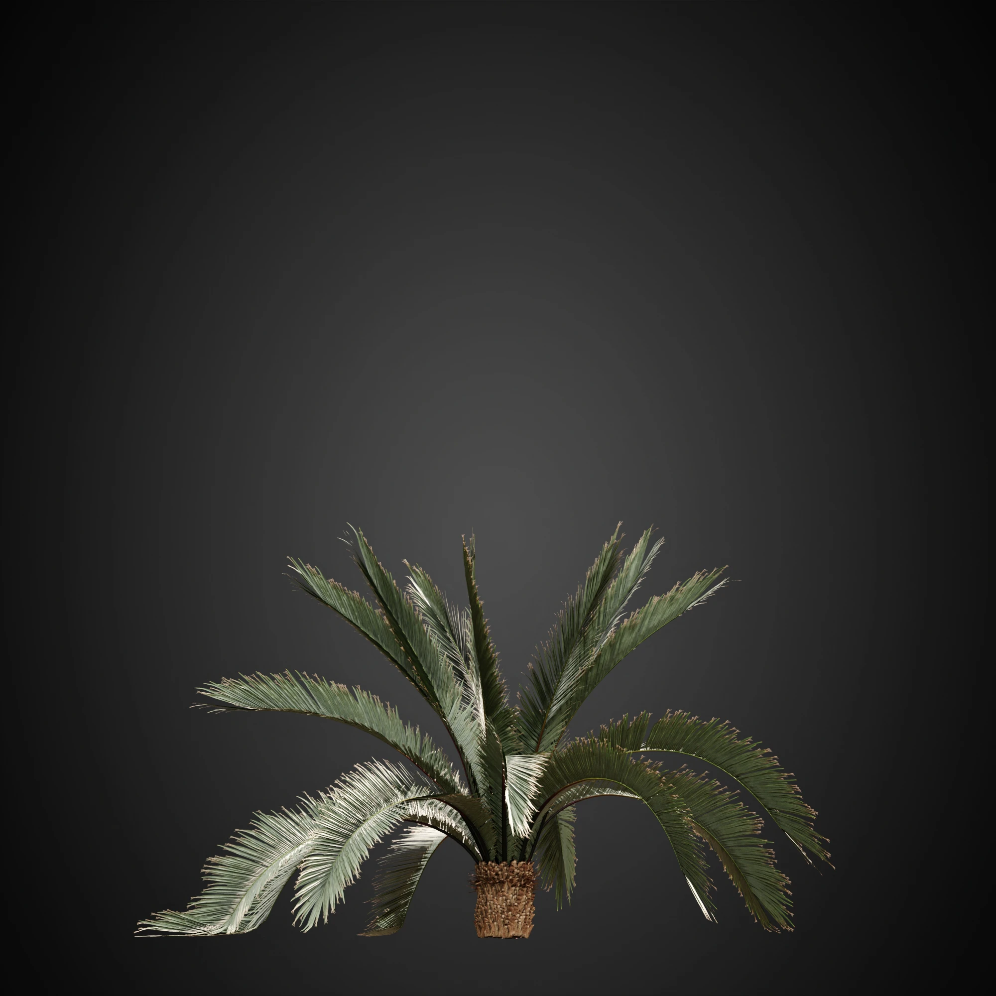 006 — Скачать