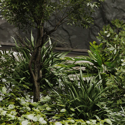 indoor plant set 50 — Вид 6